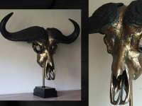 kaapse-buffel-brons