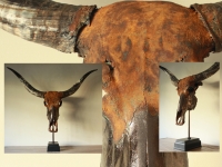 longhorn-gunmetal-rusted